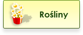 Rośliny