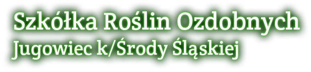 Szkółka roślin ozdobnych